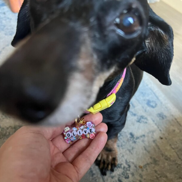 Customer Review